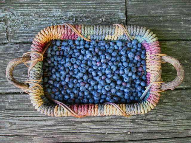 Basket of Fresh Picked Blueberries